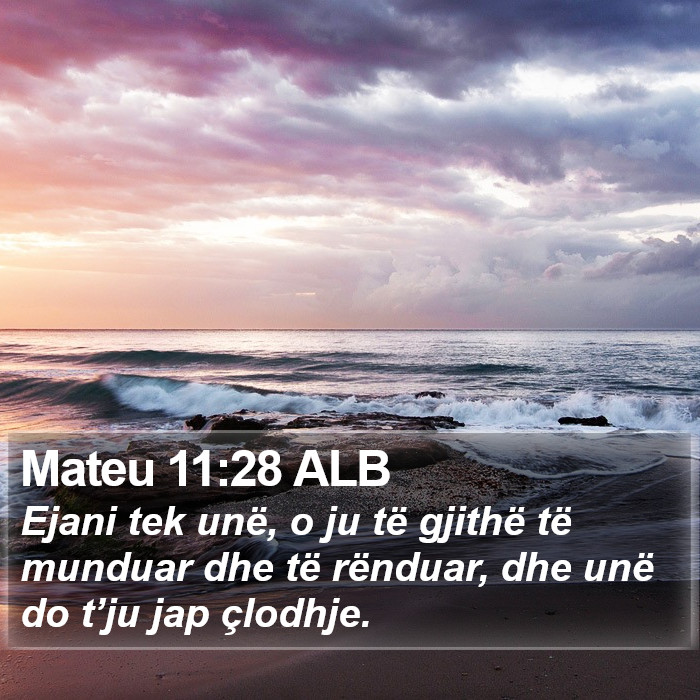 Mateu 11:28 ALB Bible Study