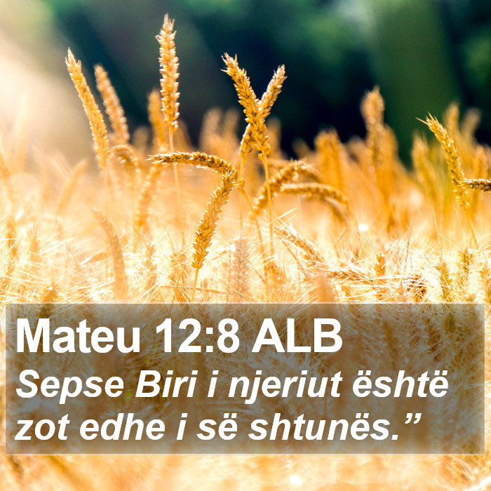 Mateu 12:8 ALB Bible Study