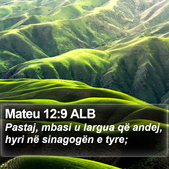 Mateu 12:9 ALB Bible Study