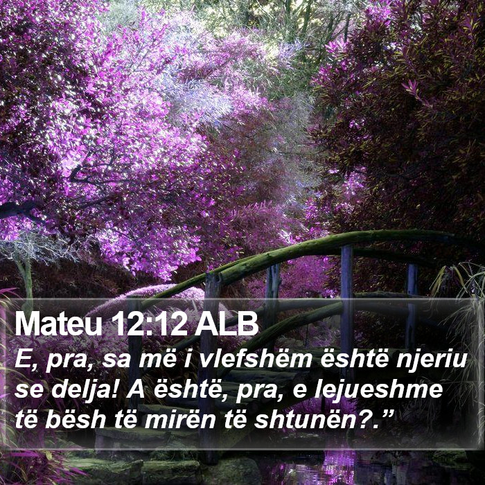 Mateu 12:12 ALB Bible Study