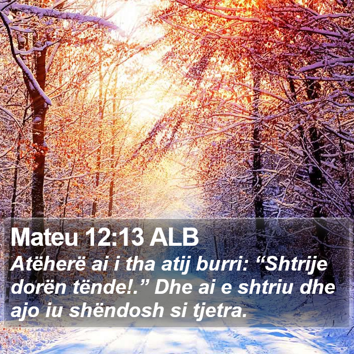 Mateu 12:13 ALB Bible Study