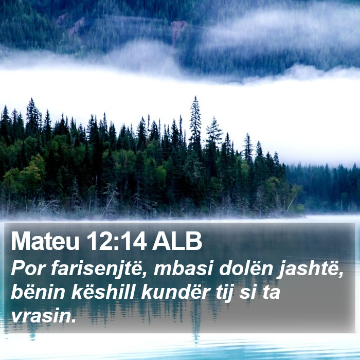 Mateu 12:14 ALB Bible Study