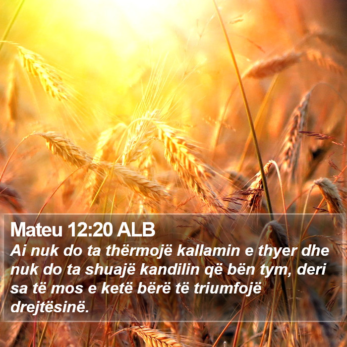 Mateu 12:20 ALB Bible Study