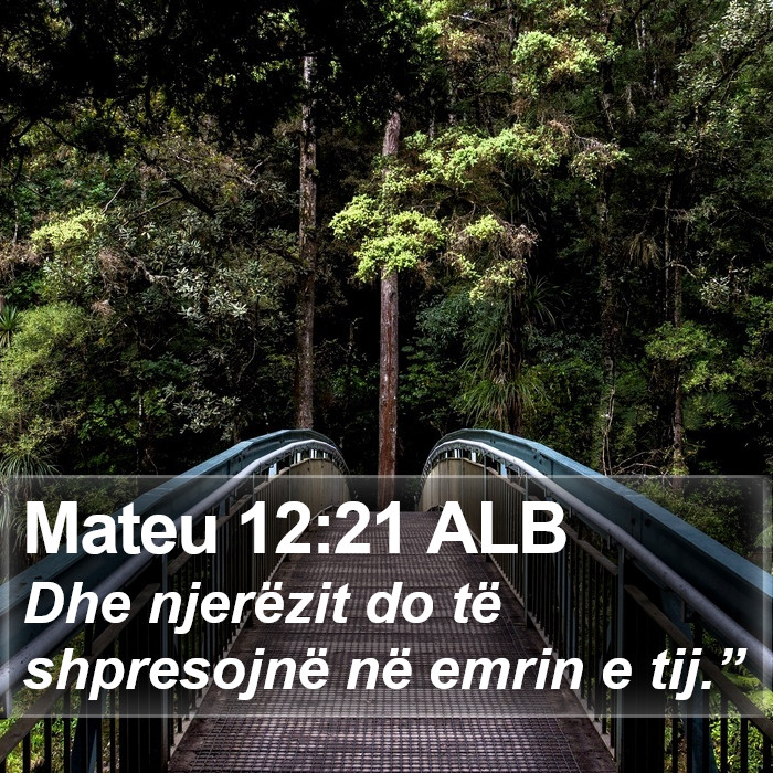 Mateu 12:21 ALB Bible Study