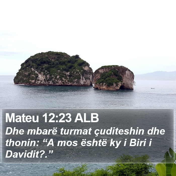 Mateu 12:23 ALB Bible Study