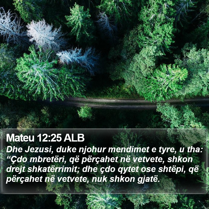 Mateu 12:25 ALB Bible Study