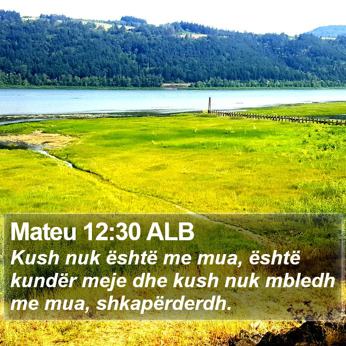 Mateu 12:30 ALB Bible Study