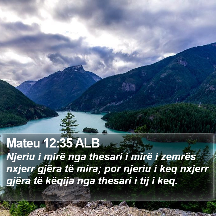 Mateu 12:35 ALB Bible Study