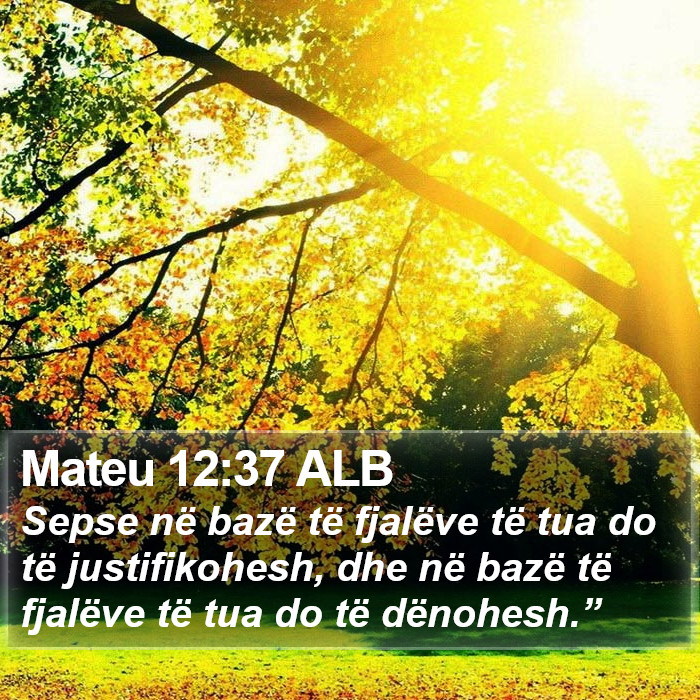 Mateu 12:37 ALB Bible Study