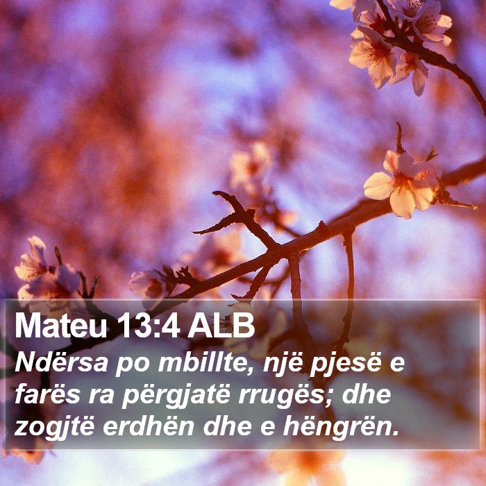 Mateu 13:4 ALB Bible Study