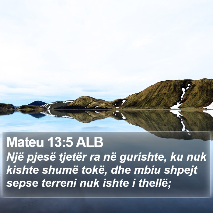 Mateu 13:5 ALB Bible Study