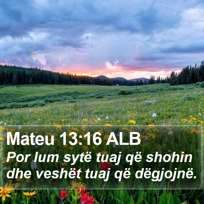 Mateu 13:16 ALB Bible Study