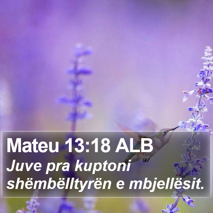 Mateu 13:18 ALB Bible Study