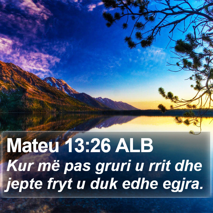Mateu 13:26 ALB Bible Study