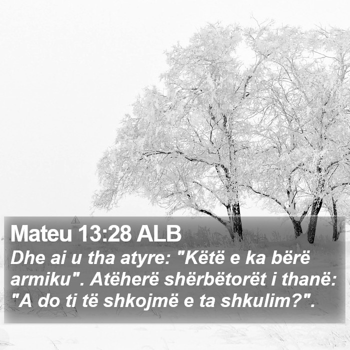 Mateu 13:28 ALB Bible Study