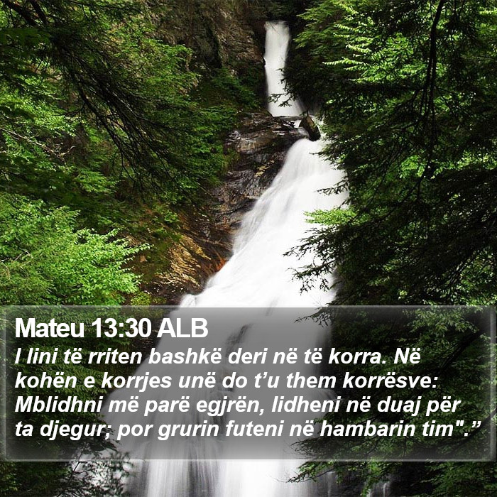 Mateu 13:30 ALB Bible Study