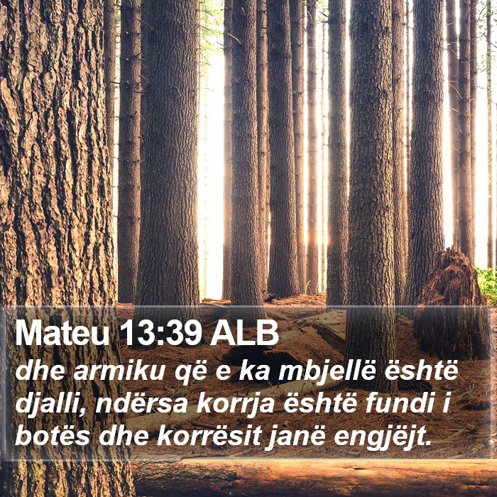 Mateu 13:39 ALB Bible Study