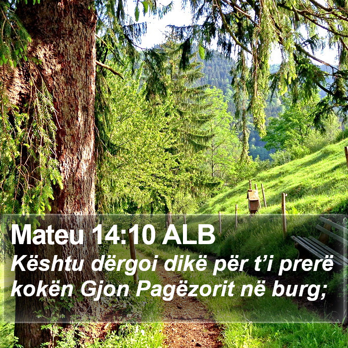 Mateu 14:10 ALB Bible Study