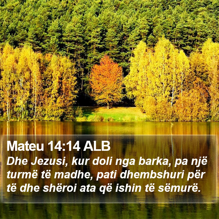 Mateu 14:14 ALB Bible Study