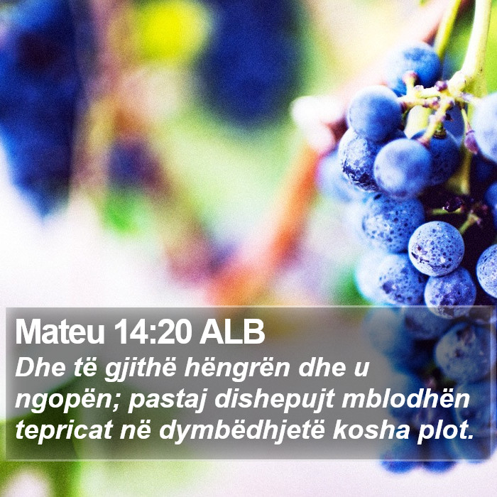 Mateu 14:20 ALB Bible Study