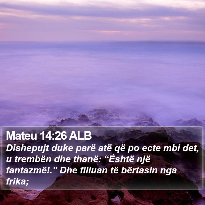 Mateu 14:26 ALB Bible Study