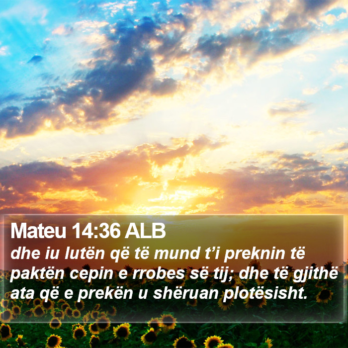 Mateu 14:36 ALB Bible Study