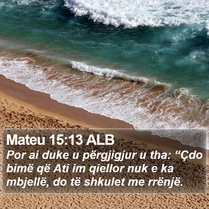 Mateu 15:13 ALB Bible Study