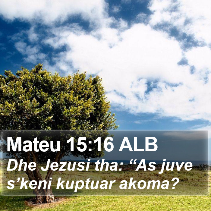 Mateu 15:16 ALB Bible Study