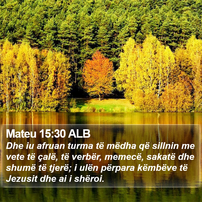 Mateu 15:30 ALB Bible Study