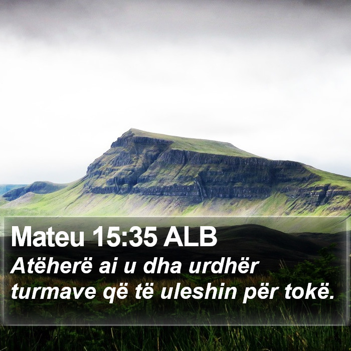 Mateu 15:35 ALB Bible Study