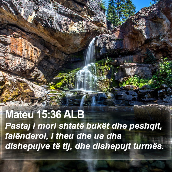 Mateu 15:36 ALB Bible Study