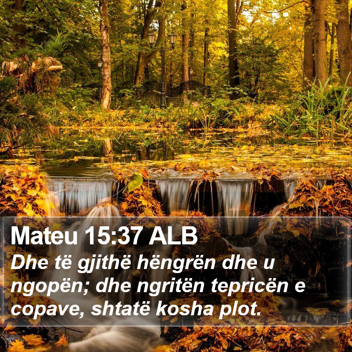 Mateu 15:37 ALB Bible Study