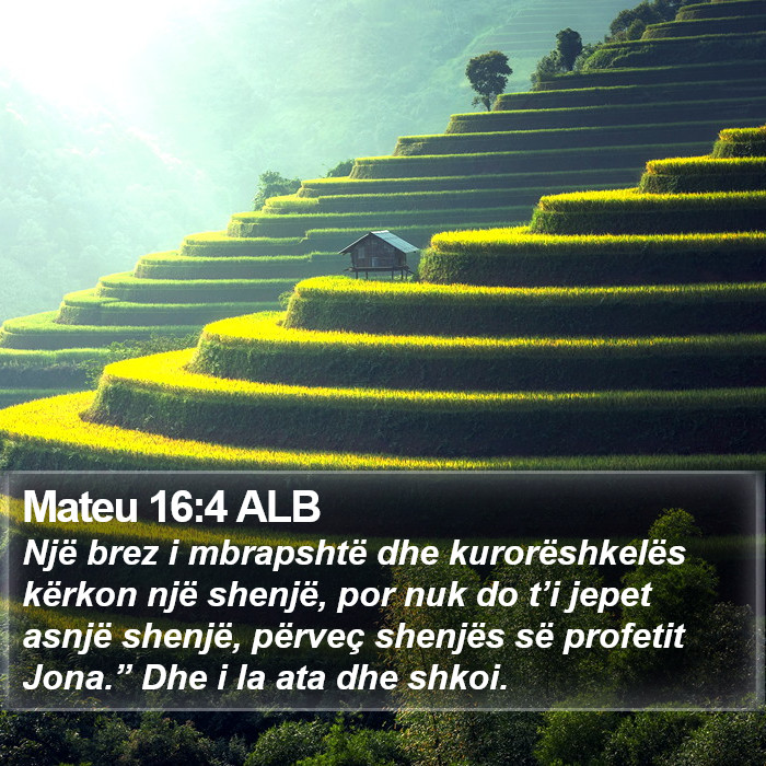 Mateu 16:4 ALB Bible Study