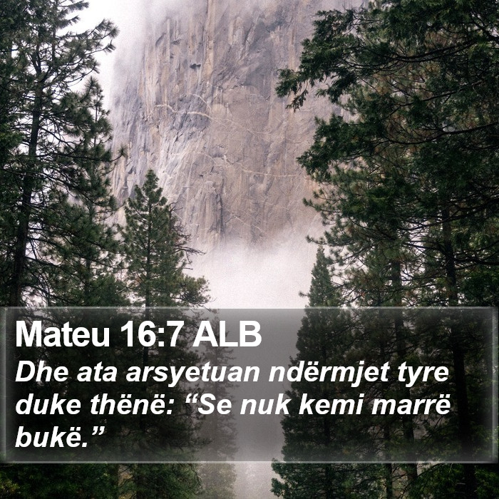 Mateu 16:7 ALB Bible Study
