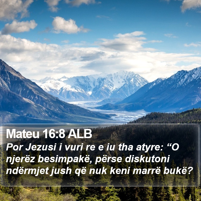 Mateu 16:8 ALB Bible Study
