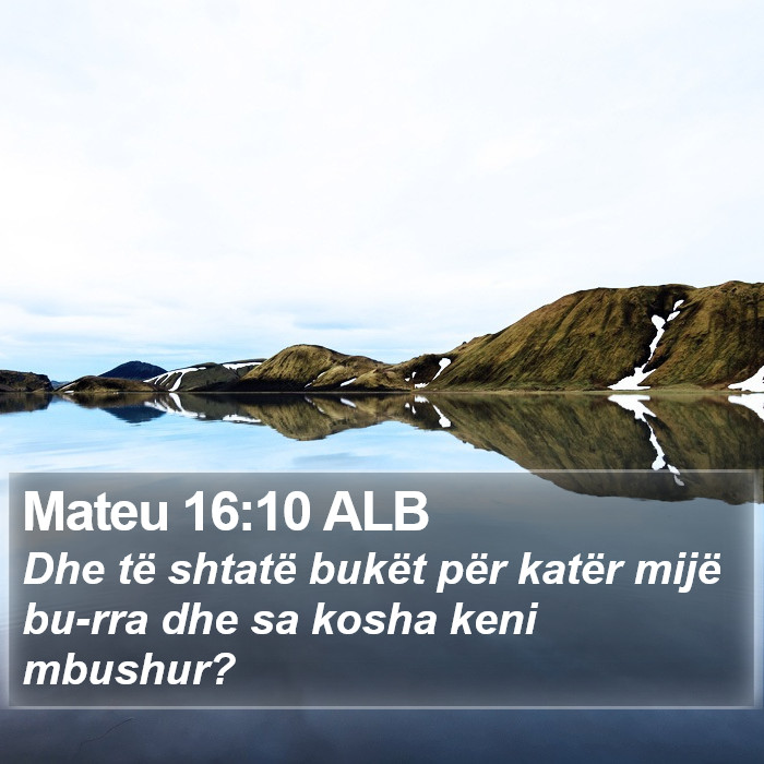Mateu 16:10 ALB Bible Study
