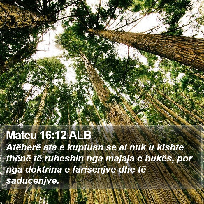 Mateu 16:12 ALB Bible Study