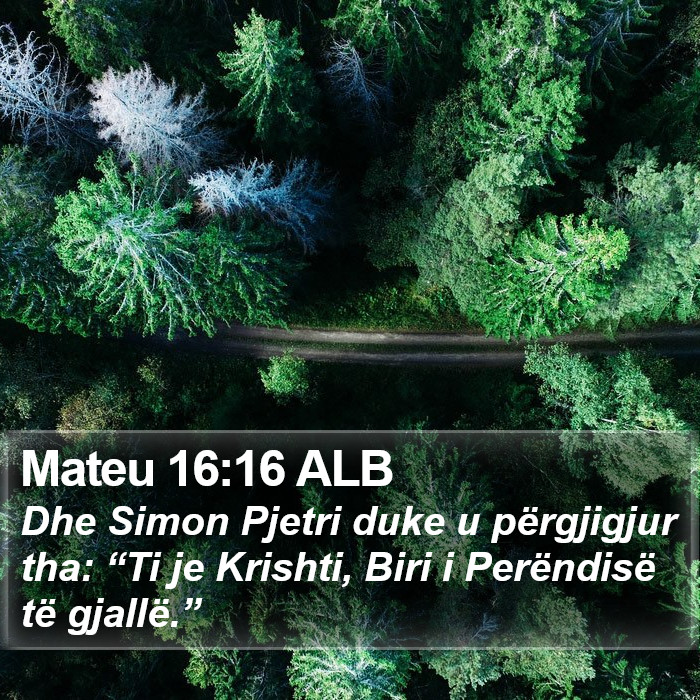 Mateu 16:16 ALB Bible Study