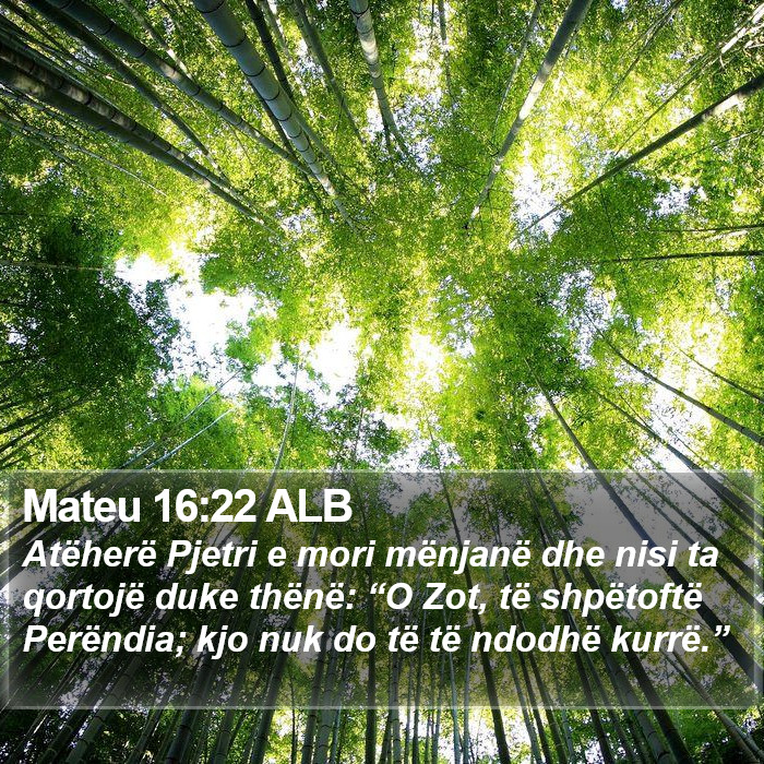 Mateu 16:22 ALB Bible Study