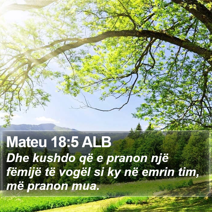 Mateu 18:5 ALB Bible Study