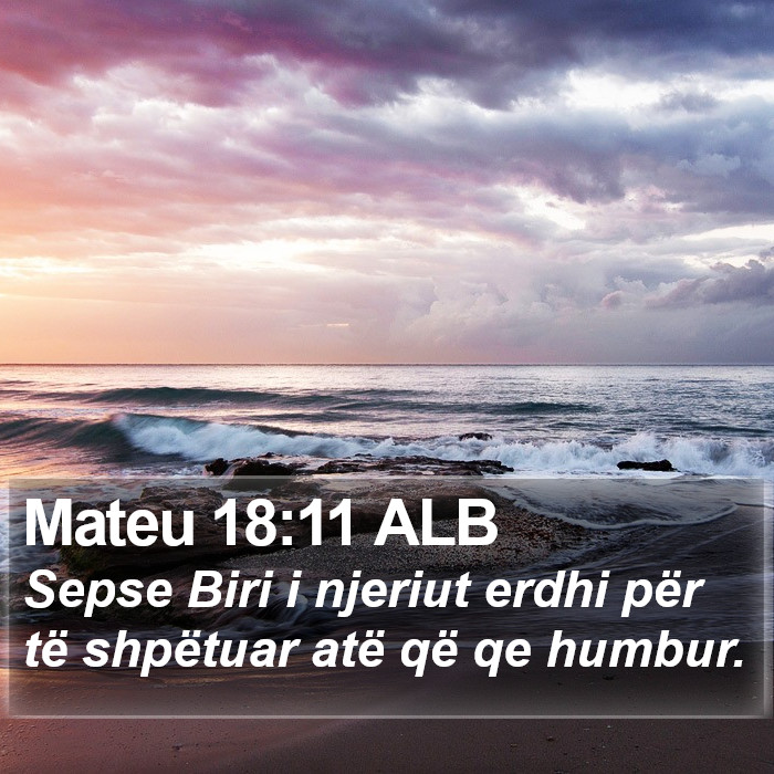 Mateu 18:11 ALB Bible Study
