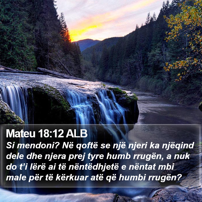 Mateu 18:12 ALB Bible Study