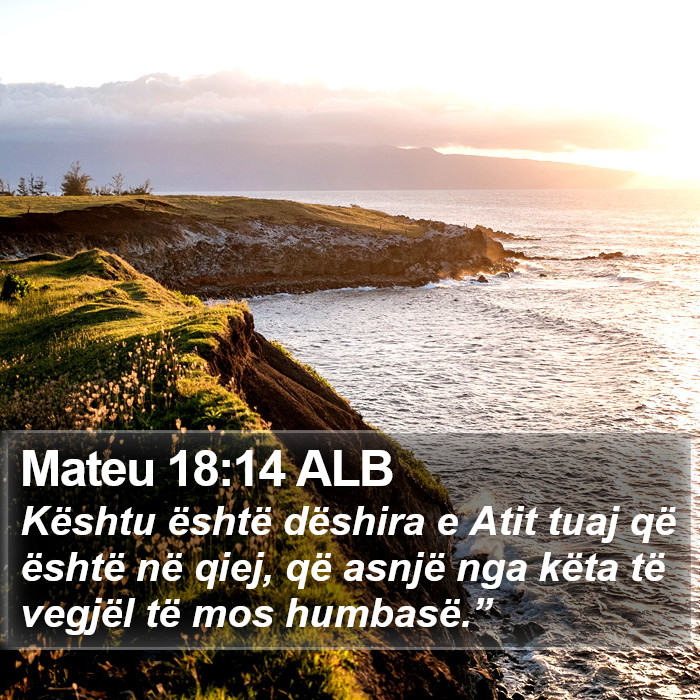 Mateu 18:14 ALB Bible Study