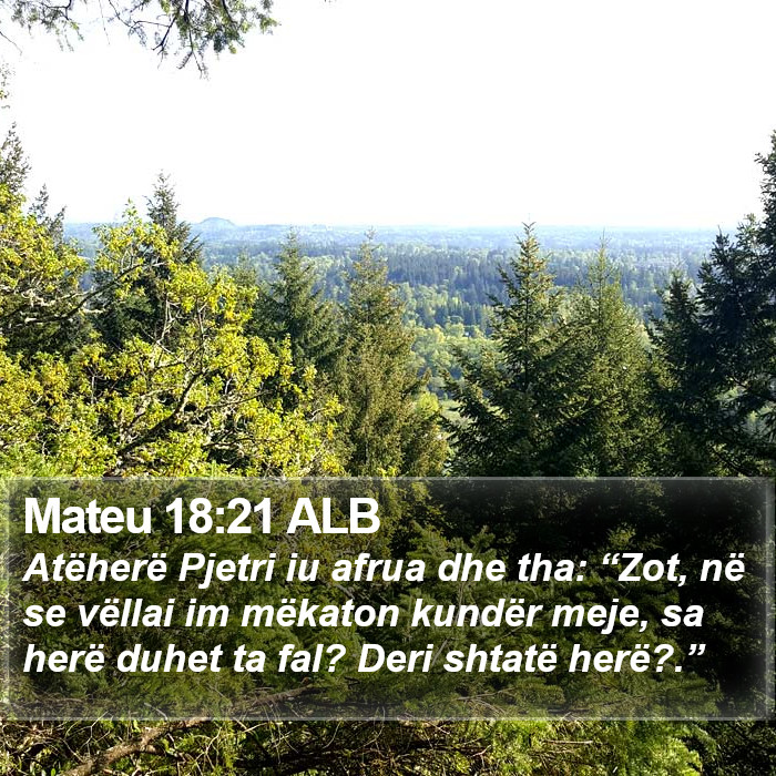 Mateu 18:21 ALB Bible Study