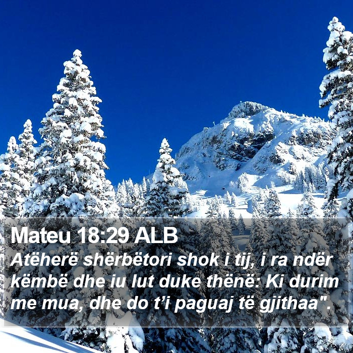 Mateu 18:29 ALB Bible Study