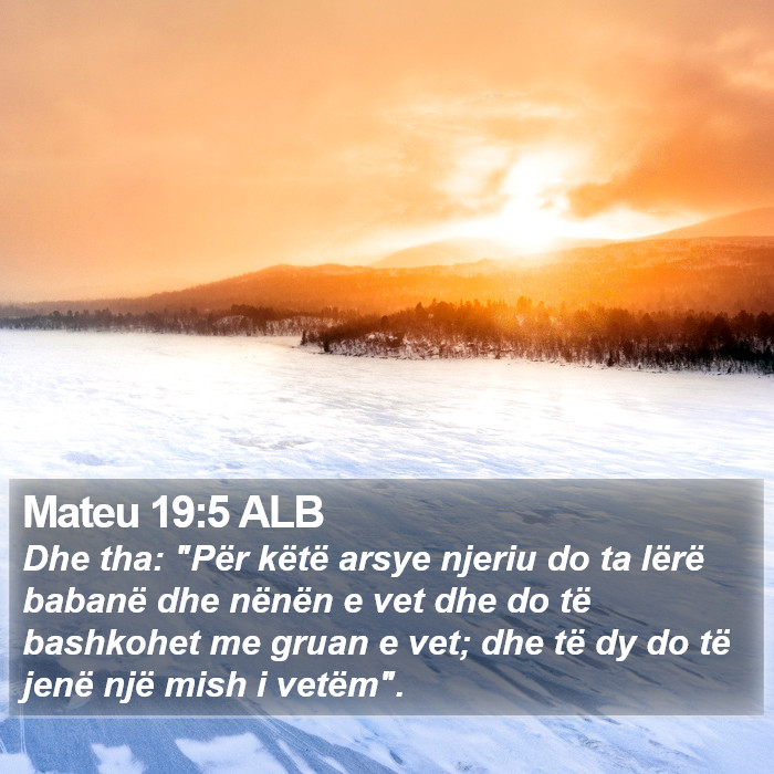 Mateu 19:5 ALB Bible Study