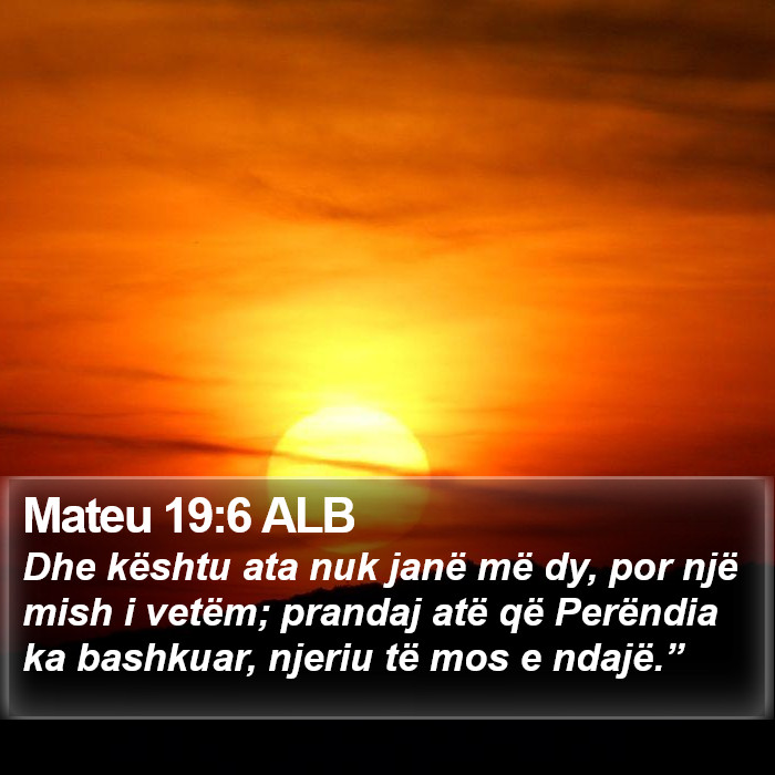 Mateu 19:6 ALB Bible Study