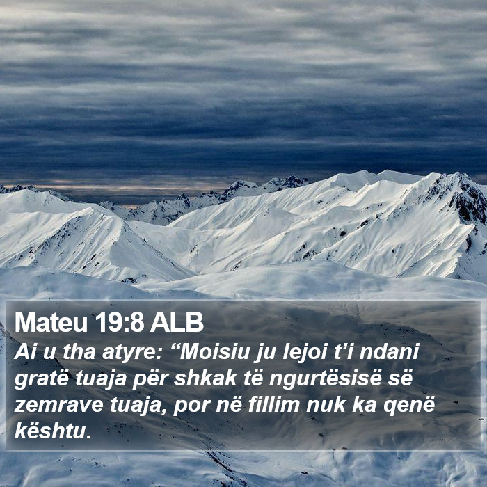 Mateu 19:8 ALB Bible Study