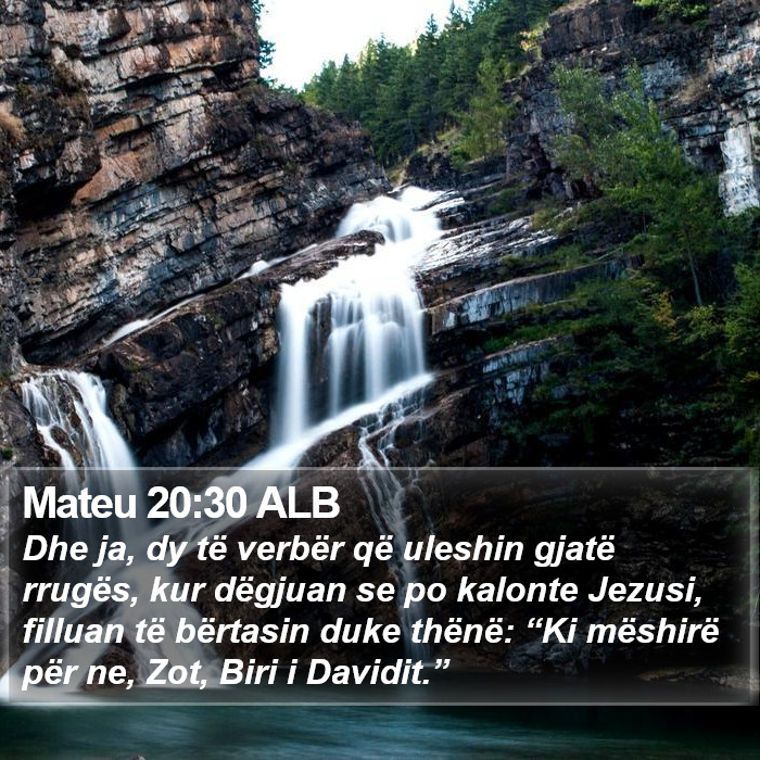 Mateu 20:30 ALB Bible Study