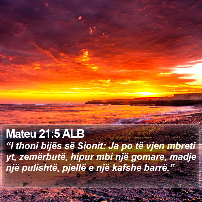 Mateu 21:5 ALB Bible Study